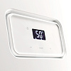 Котел газовый настенный PROTHERM РЫСЬ К 25/30 MKV, 25 кВт, двухконтурный, конденсационный